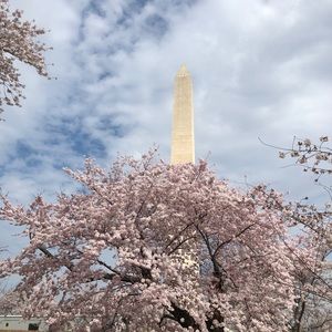 Meet your Posher, Marybeth